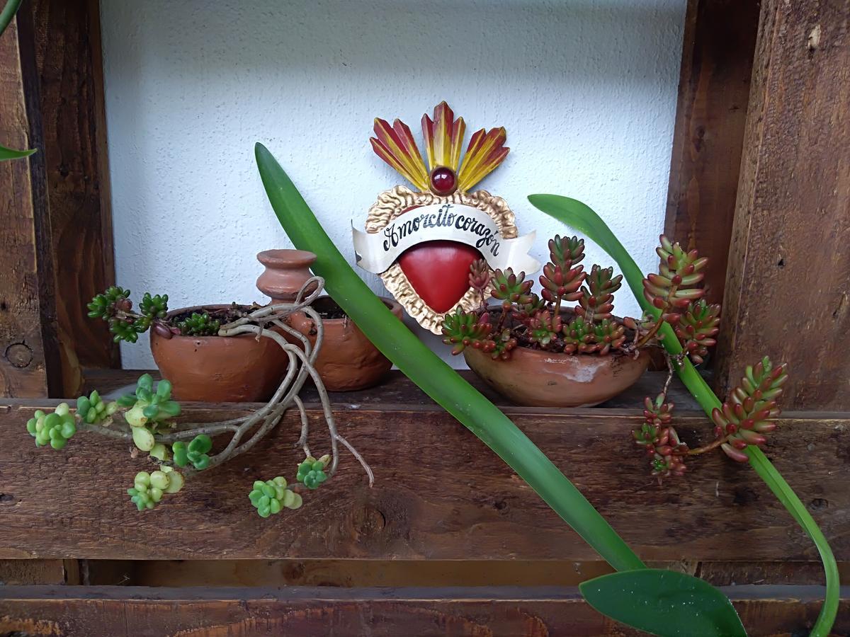 Posada Santa Hotel San Cristobal de las Casas Ngoại thất bức ảnh